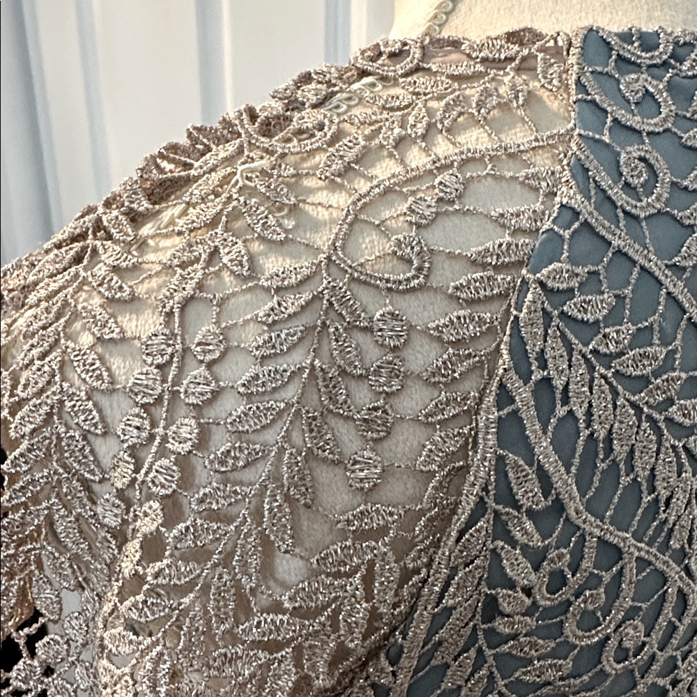 Elegant Lace Dress - Picture 6 of 6